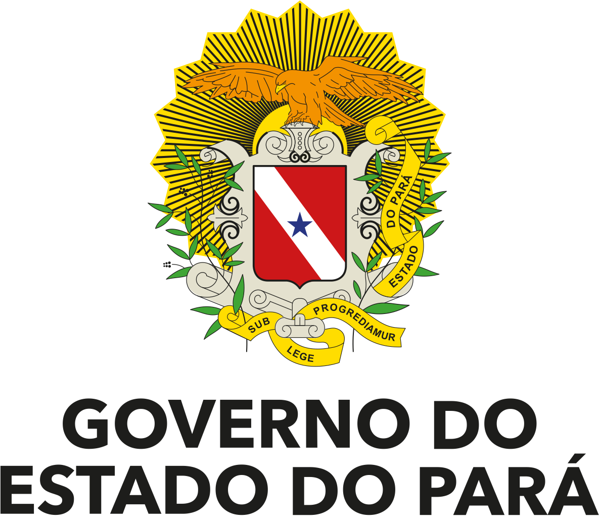 Governo do Pará